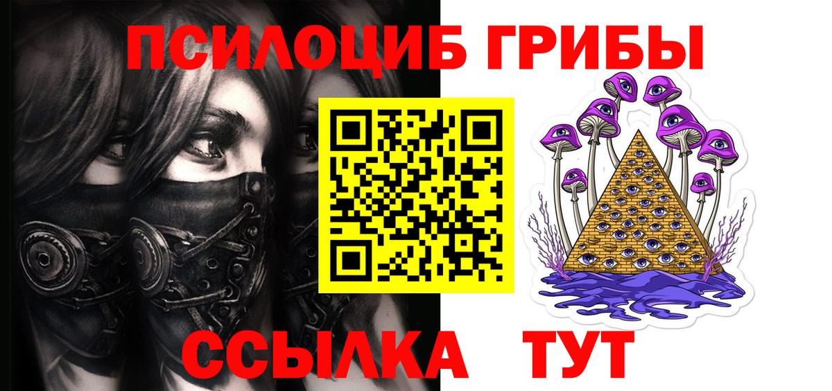 Псилоцибиновые грибы Psilocybe Заволжье