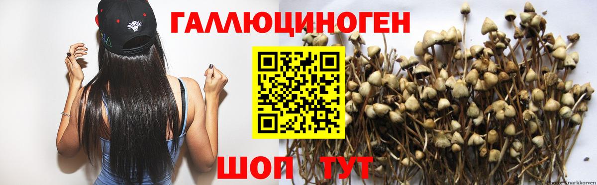 Заволжье  Галлюциногенные грибы MAGIC MUSHROOMS  Вход с VPN  Псилоцибиновые грибы Magic Shrooms 